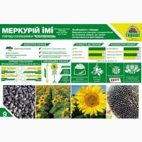 Подсолнух МЕРКУРИЙ ОР (Екстра) соняшник Меркурій ОР