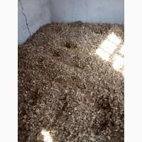 Продам воздушку чеснока, сорт Любаша