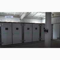 Инкубационные яйца бройлеров. Импорт, Украина.Специальное предложение