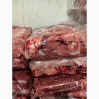 Легені свинні і говяжі