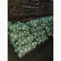 Продам Капусту