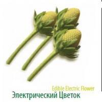 Продам зелень экспортного качества от крупнейшего производителя Турции