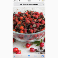Куплю на постоянной основе свежий шиповник в Днепре