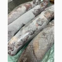 Продам говяжью вырезку оптом