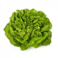 Продам салат Аквино маслянистый с ореховым вкусом