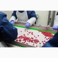 Сортування, інспектування та пакування заморожених продуктів харчування