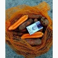 Продам морковь второго сорта со склада в Харькове