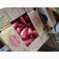 Продам перець