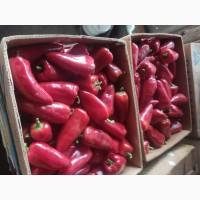 Продам перець