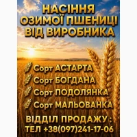 Насіння від виробника. Озима пшениця. Еліта 2026, Харківська обл