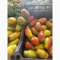 Груша Киргизка