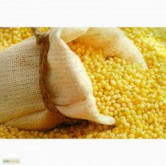 Крупы на экспорт! Весовые и фасованные