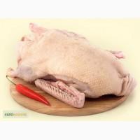 Тушки гуся с доставкой в Одессе. Домашнее гусиное мясо