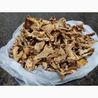 Продам сухие белые грибы