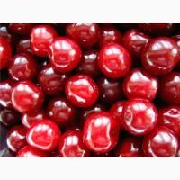 Закупаем ВИШНЮ без хвостиков, свежую