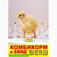 Бройлеры, цыплята на Правом берегу в р-не Новой линии