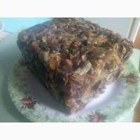 Мясо Виноградной улитки, чистая нога. Замороженное в брикетах 1 кг