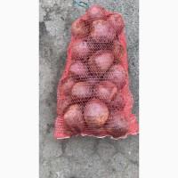 Продам буряк из фермерского хозяйства