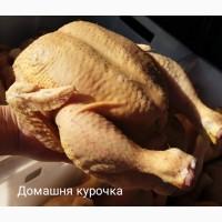 Продам домашніх бройлерів
