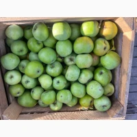 Продам симиренку