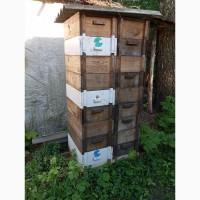 Продам, вулики, суш, інвентар