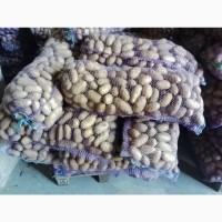 Продам картоплю з піску від населення велика і насінева