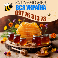 Закупівля меду. Мінімальна партія - 500 кг. Виїзд своїм транспортом