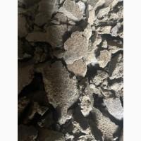 Макуха соняшникова від виробника