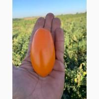 Продам помідор!ціна договірна