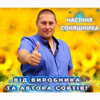 Соняшник Синельниківський УльтраРанній (СУР), 75-80 днів, Екстра Плюс