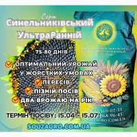 Соняшник Синельниківський УльтраРанній (СУР), 75-80 днів, Екстра Плюс