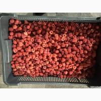 Продам заморожену малину