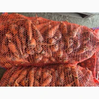 Продам морковку мелкую