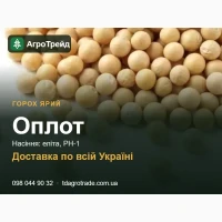 Горох ярий Оплот - насіння еліта, РН-1