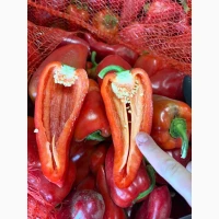 Продам перец Феррари