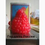 Сорт малины гордость россии, АННЭ, Polonez, Radziejowa, Жозели, Sokolica, Жаклин