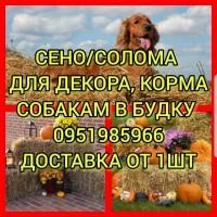 Продам сено: луговое, люцерну. Доставка. Есть возможность оплаты по б.н