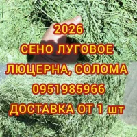 Продам сено: луговое, люцерну. Доставка. Есть возможность оплаты по б.н
