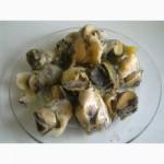 Мясо рапаны черноморской очищенное, свежемороженое