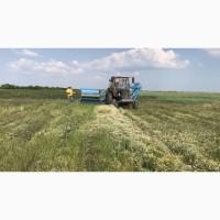 Продам ромашкоуборочный комбайн вместе с сепаратором