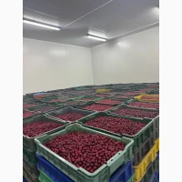 Вишня для заготовителей