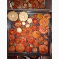 Мухомор сушеный 2025 год