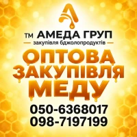 Купуємо мед соняха АМЕДА ГРУП