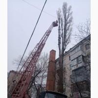 Спил деревьев, дрова