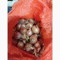 Продам Семена Лука Севок Арпаш Кущёвка Голландия