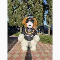 Ведмідь костюм