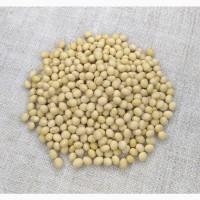 Насіння сої Арніка, еліта (ультраскоростигла, без ГМО)