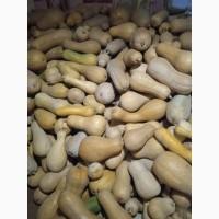 Продам Гарбузи