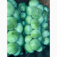 Продам капусту