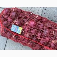 Цибуля червона ( лук синій)